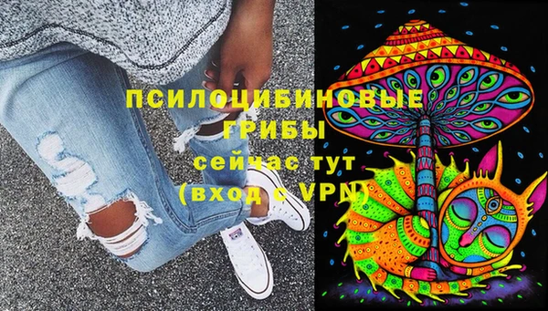 мяу мяу мука Карпинск