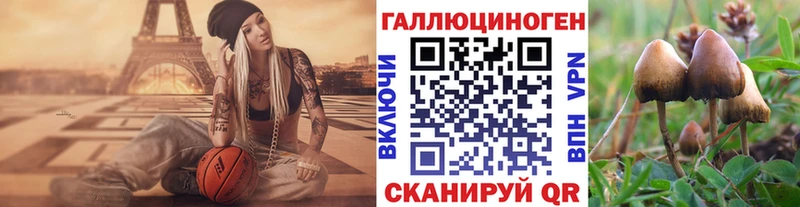 Галлюциногенные грибы ЛСД  Купить закладки  Новодвинск 